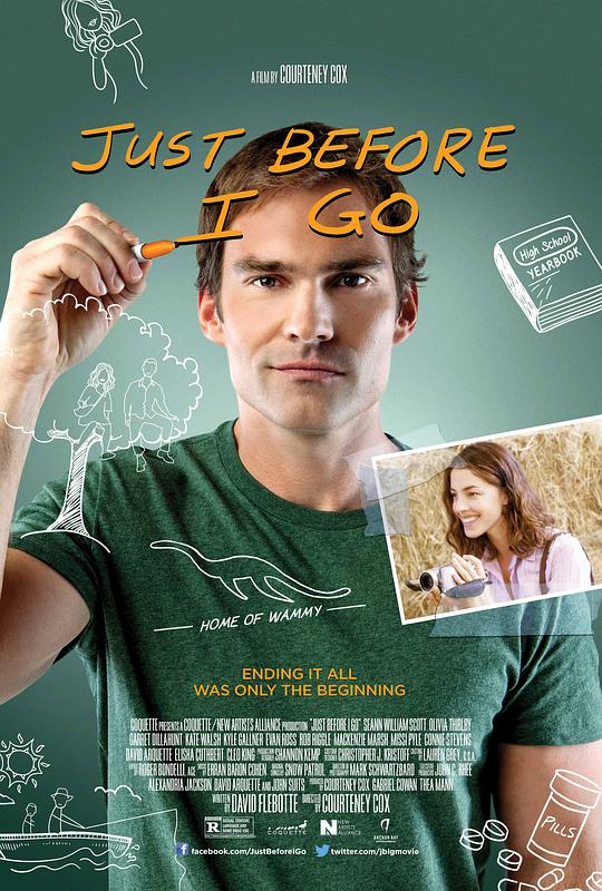 在我走之前 Just Before I Go (2015) 1080p 原盘Remux 中文字幕 已刮削