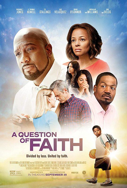 信仰问题 A Question of Faith (2017) 1080p 原盘Remux 已刮削