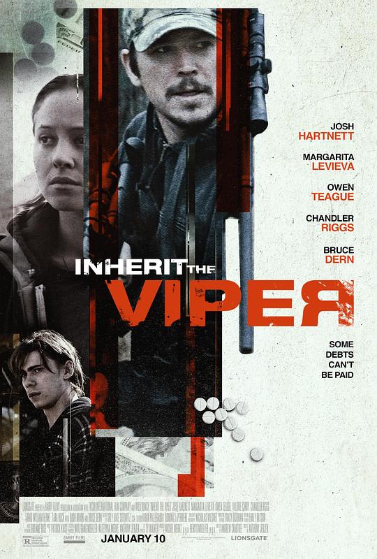 继任蝰蛇 Inherit the Viper (2019) 1080p 原盘Remux 中文字幕 已刮削