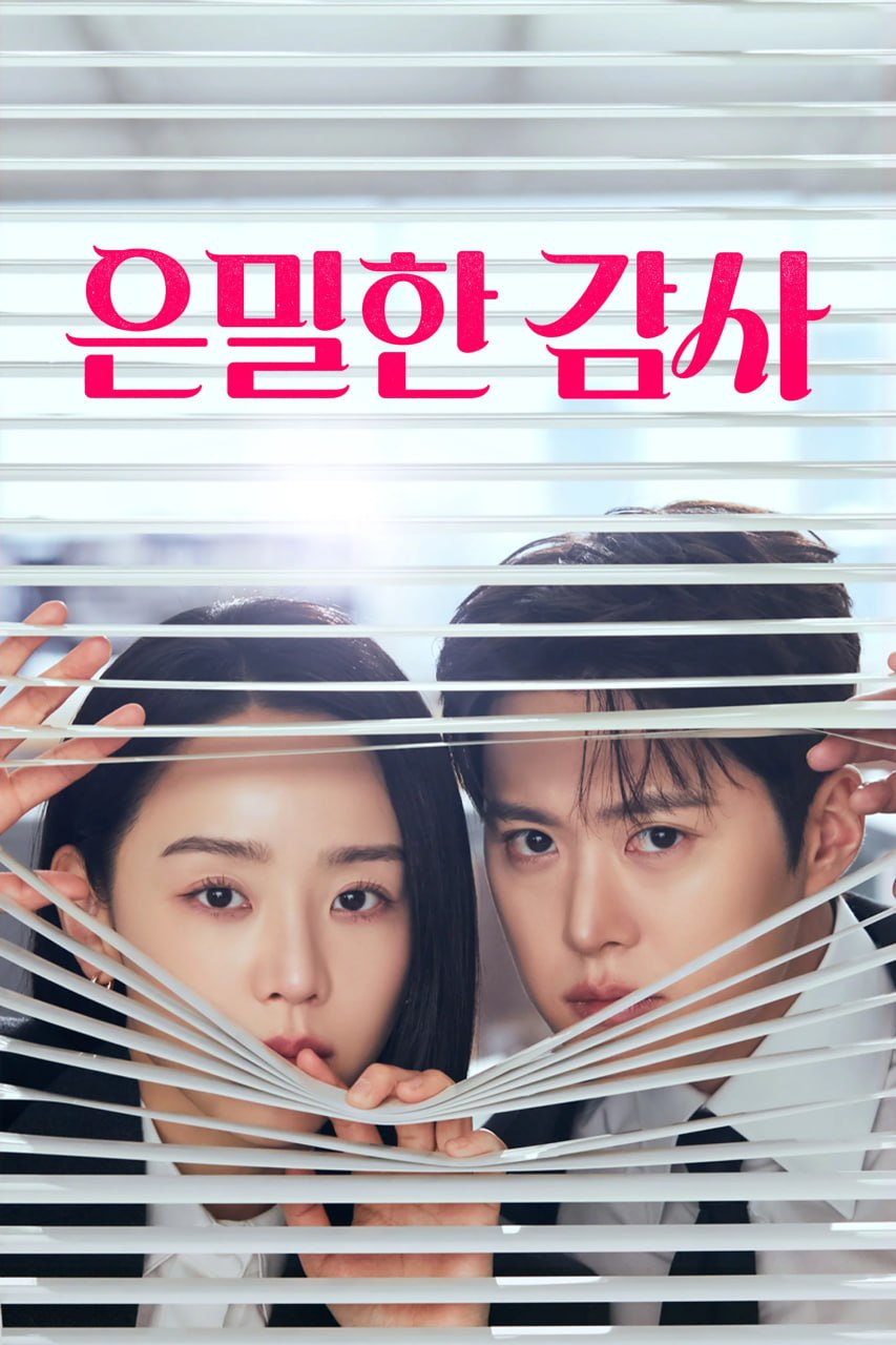 名称：隐秘的监察 은밀한감사 (2026) [1080P] [内封简繁] [全12集]