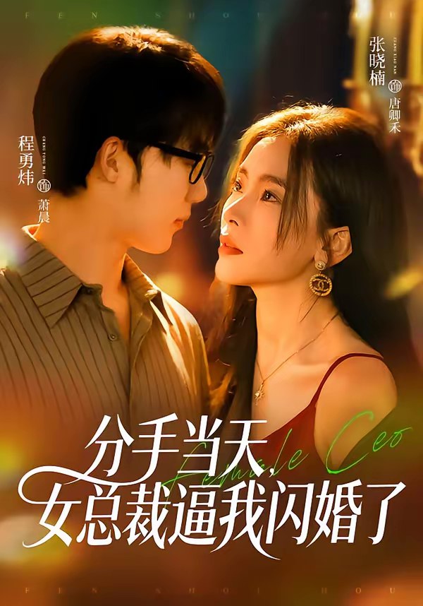 分手当天女总裁逼我闪婚了 (72集) 张晓楠&程勇炜 | 短剧