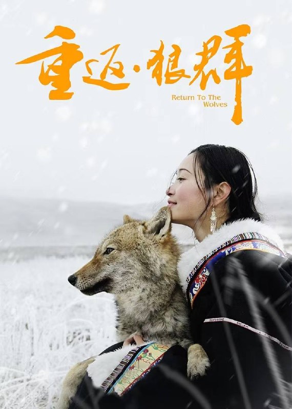 重返·狼群（2017）4K HQ 高码率 内嵌简英