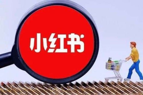 小红书训练营一起成为賺钱的博主，小红书是最适合普通人的风口