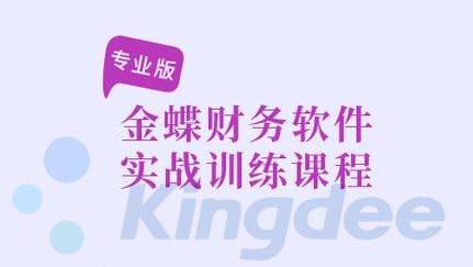 金蝶专业版财务软件实战训练课程