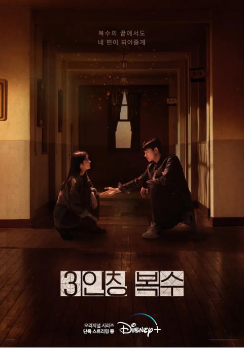 [韩剧][第三人称复仇][2022][全12集][简繁英字幕][4K HDR][单集6G][75G][迪斯尼]