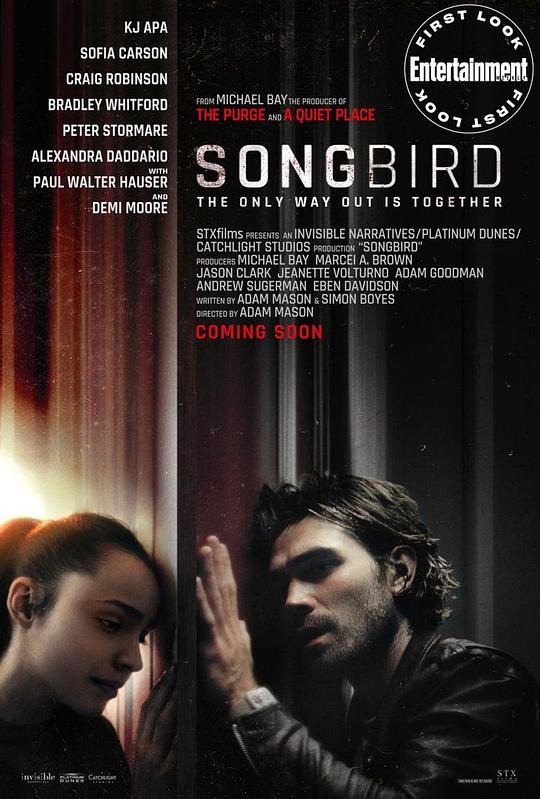 鸣鸟 Songbird (2020) 1080p 原盘Remux 中文字幕 已刮削