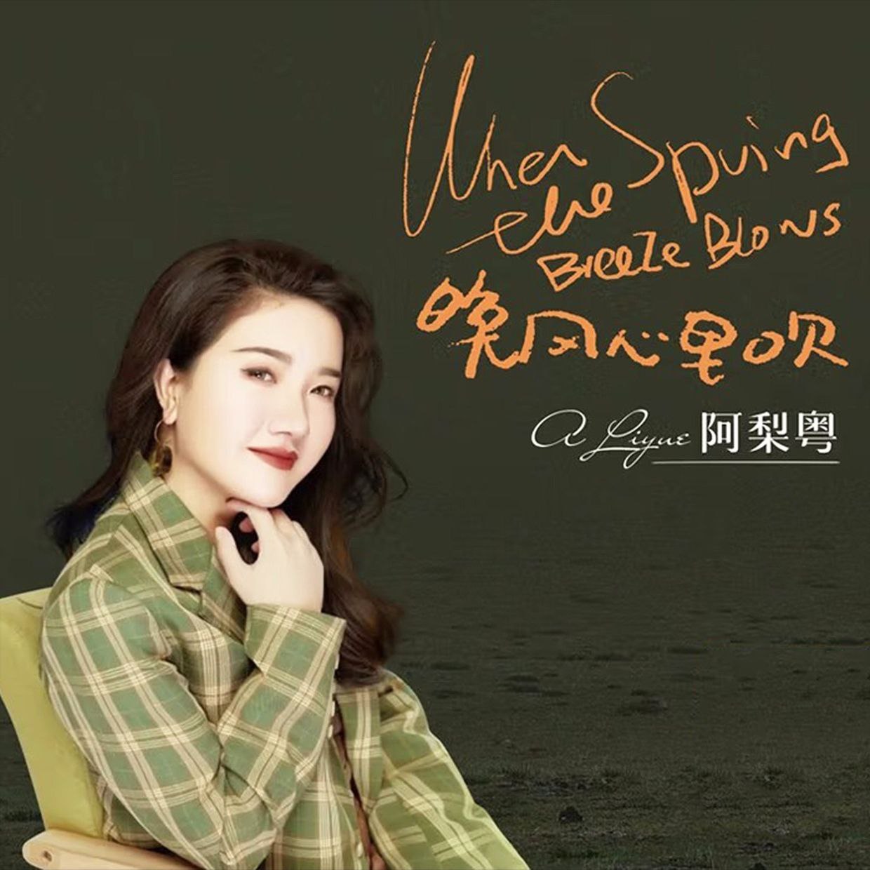 阿梨粤晚风心里吹纯银限量钉制版 低速原抓WAV+CUE