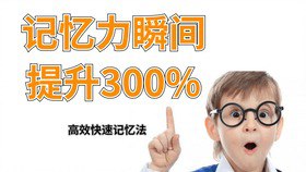 最强大脑 王峰 记忆课程60课 记忆力提升高效学习课[mp4]
