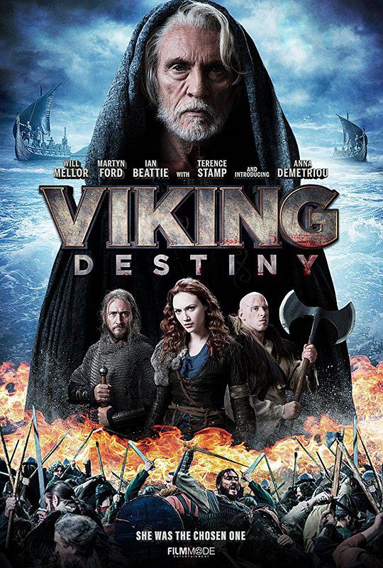 维京命运 Viking Destiny (2018) 1080p 原盘Remux 中文字幕 已刮削