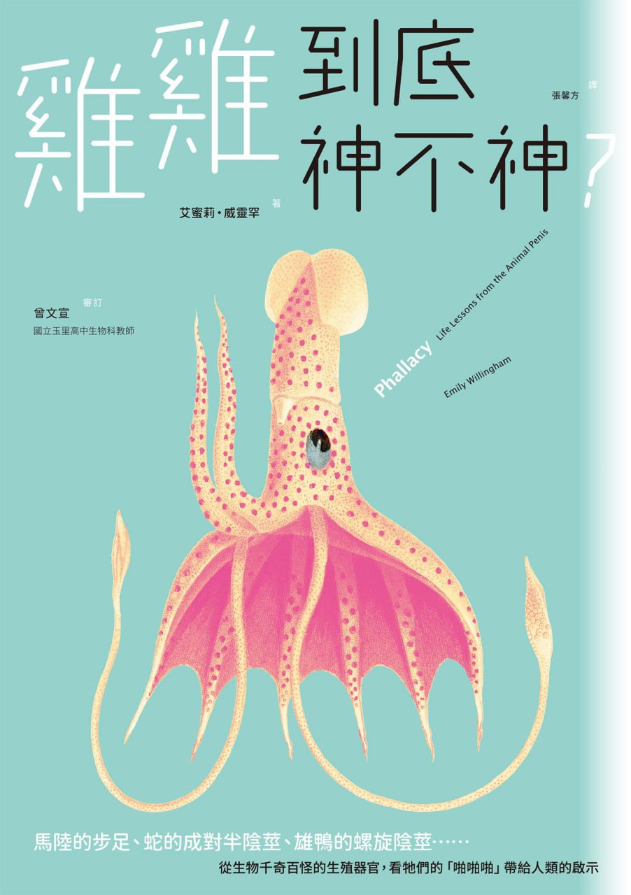 雞雞到底神不神？ [人文社科]