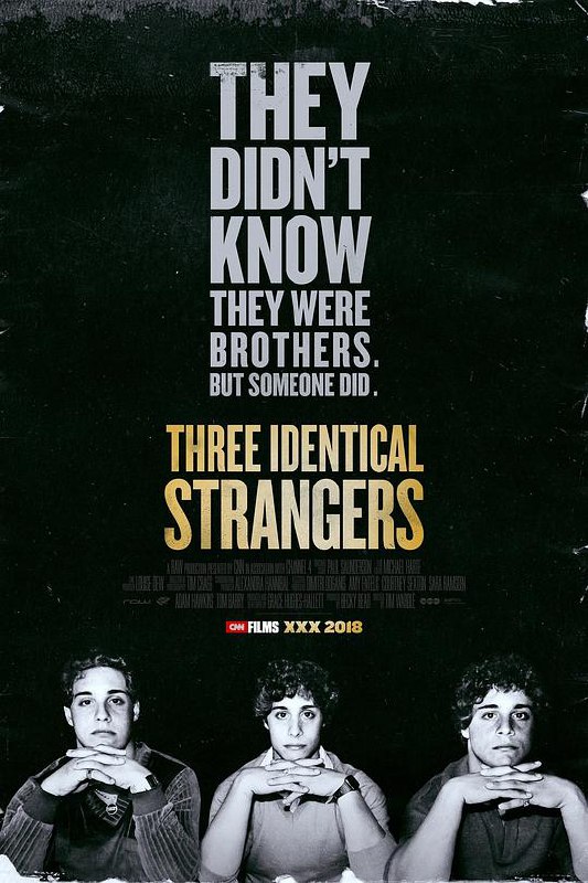 孪生陌生人 Three Identical Strangers (2018) 1080p 原盘Remux 中文字幕 已刮削
