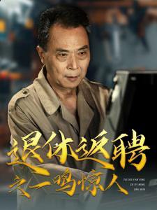 退休返聘之一鸣惊人（65集）