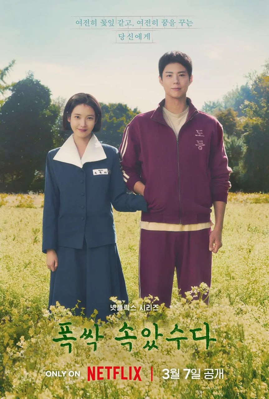 苦尽柑来遇见你 (2025) 第1-4集