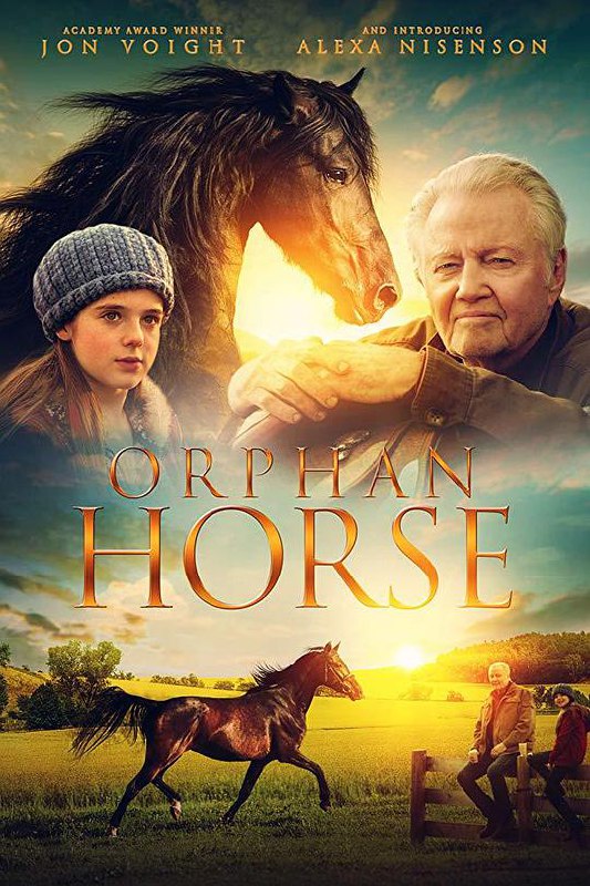 孤马 Orphan Horse (2018) 1080p 原盘Remux 已刮削