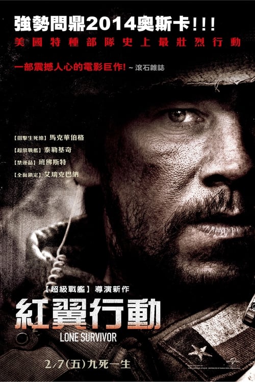孤独的生还者 (2013) 4K原盘REMUX 国英双音 特效字幕