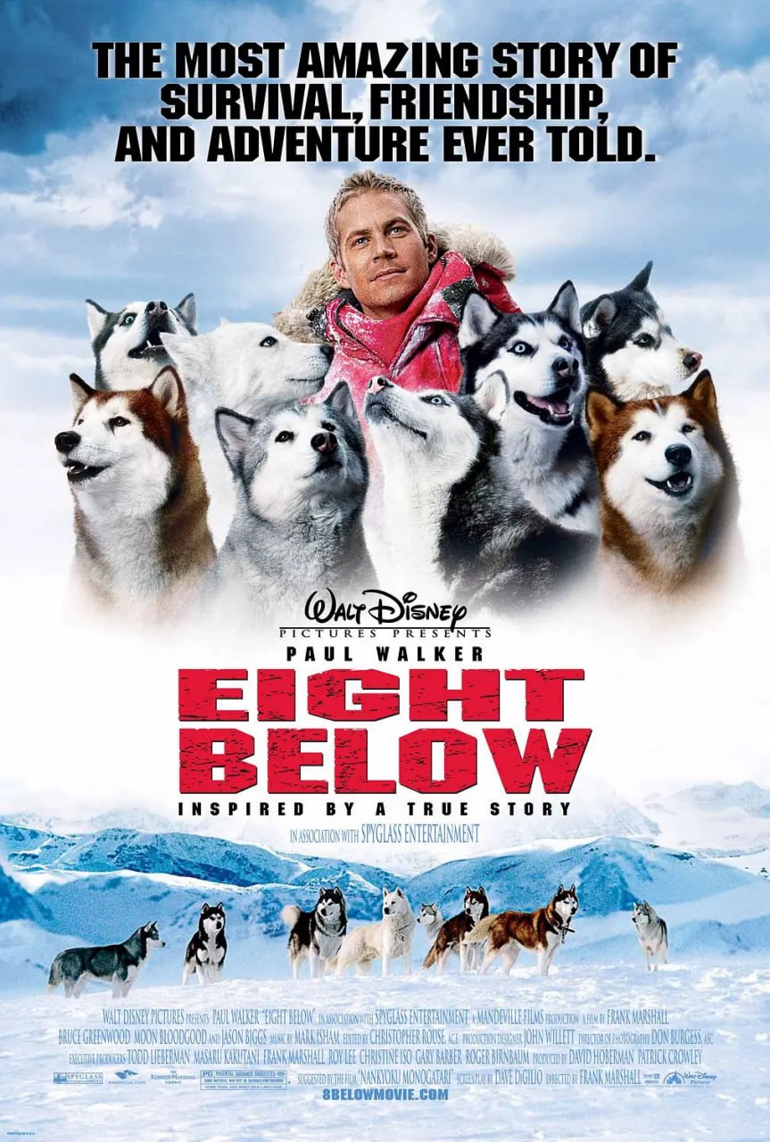 南极大冒险 Eight Below (2006)