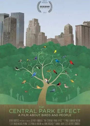 观鸟者：中央公园效应 (2012) 1080P 种子硬字幕