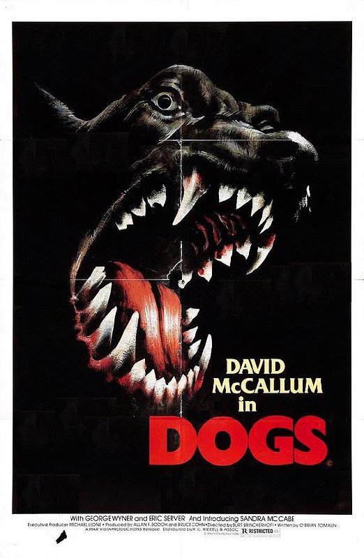 癫狗 Dogs (1976) 1080p 原盘Remux 中文字幕 已刮削