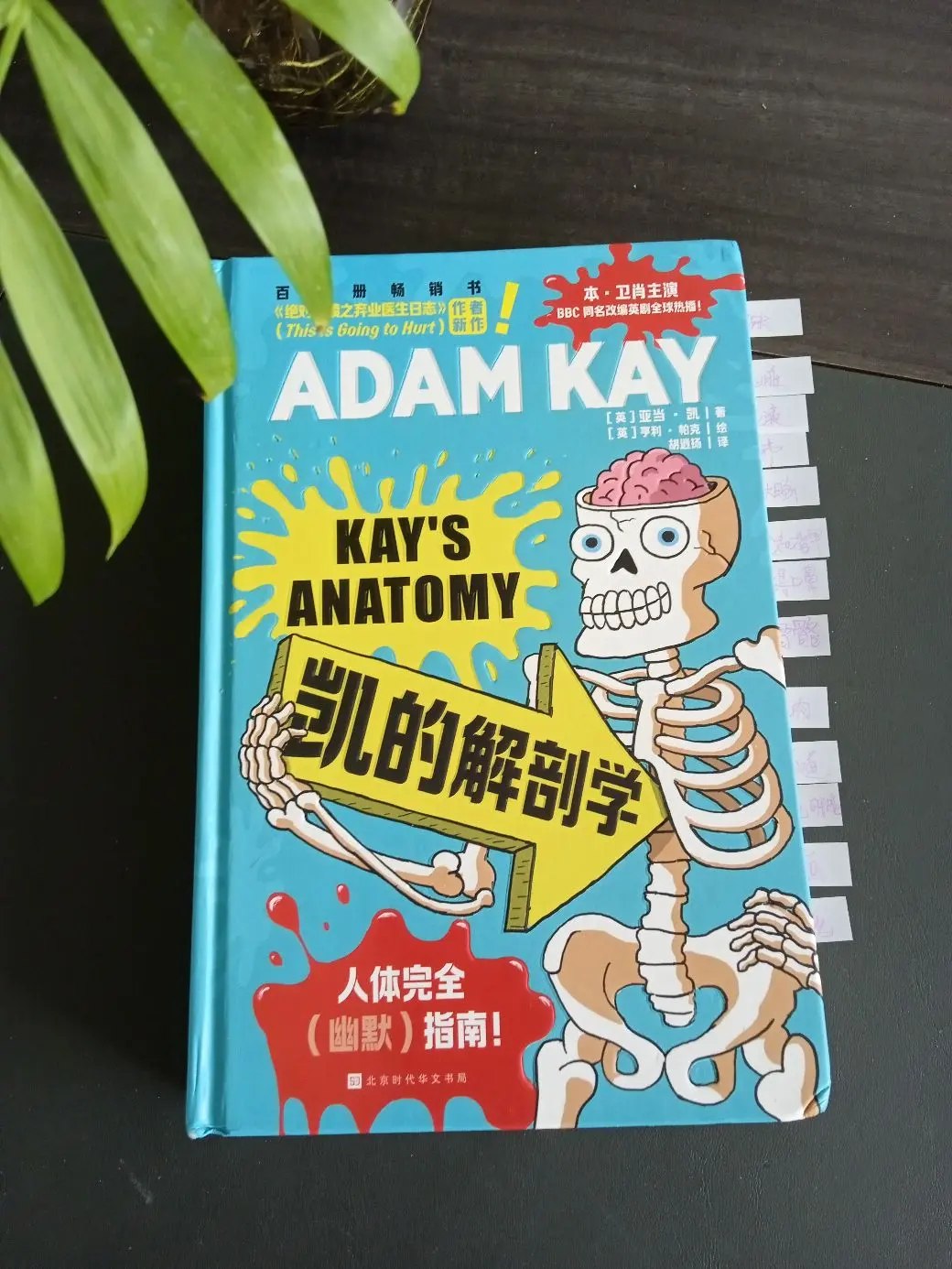 儿童趣味医学科普凯叔叔系列 ADAM KAY (电子书+音频)