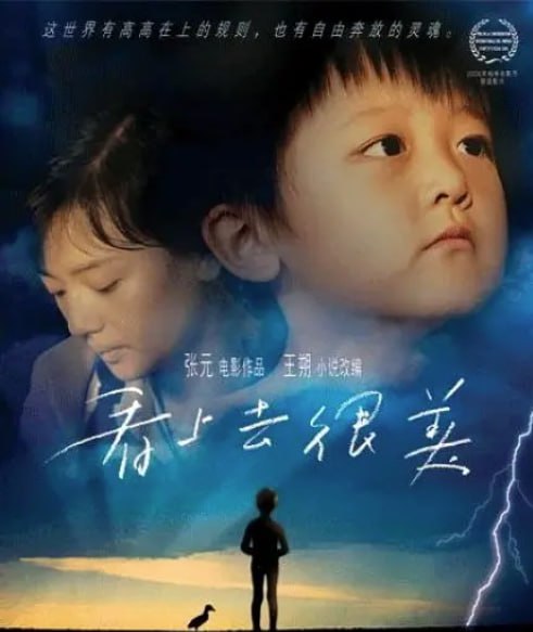 看上去很美（2006）