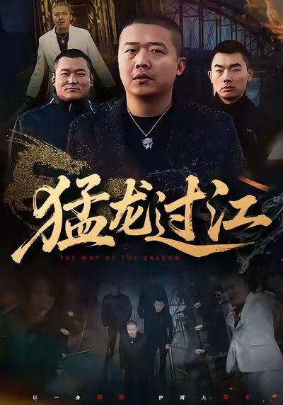 猛龙过江 (60集) 乾龙&闫聪 | 短剧