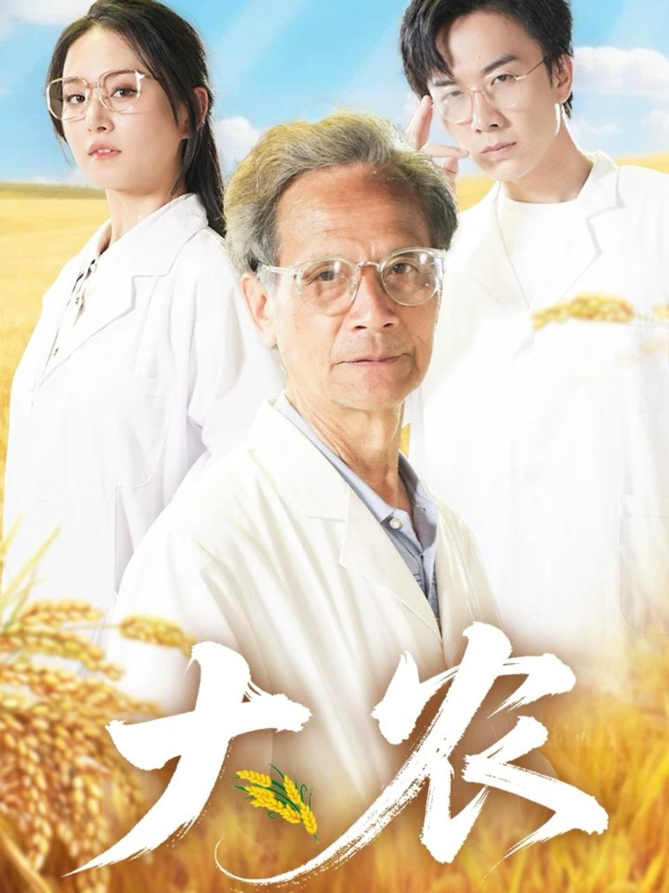 大农（71集）  /最新 短剧