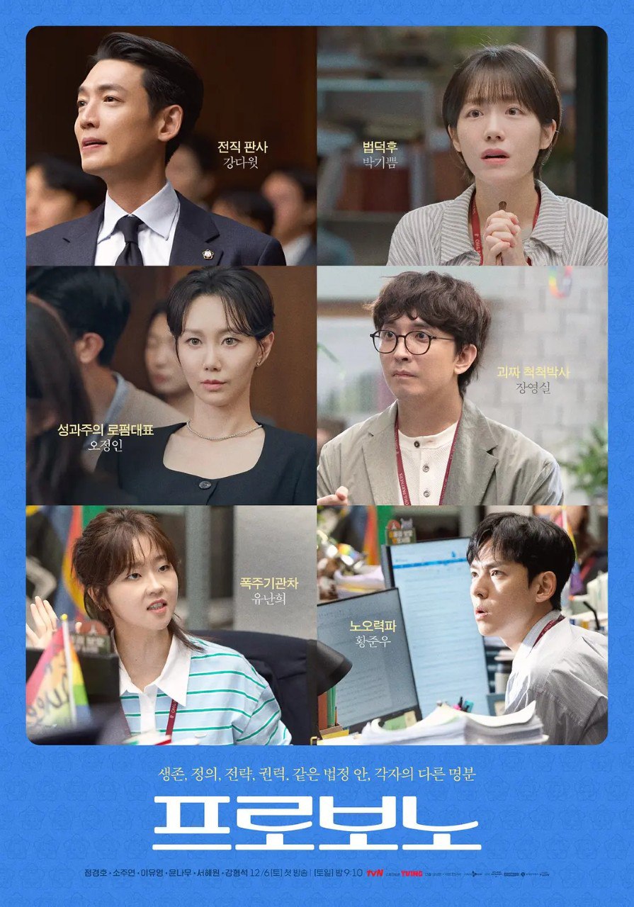公益律师/无偿服务 프로보노 (2025)