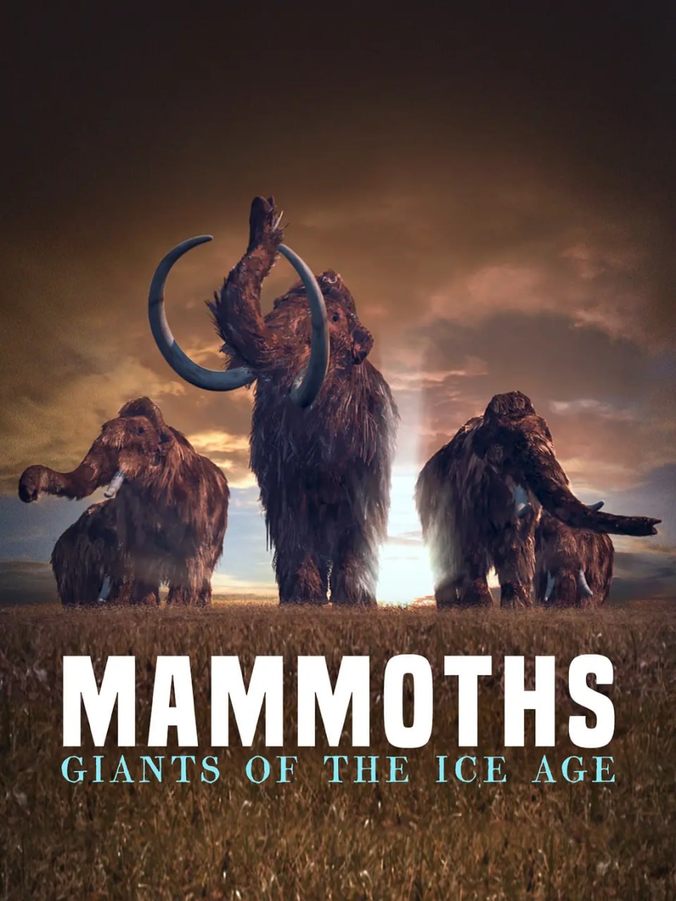 猛犸象：冰河世纪的巨兽 Mammoths Giants of the Ice Age (2016)