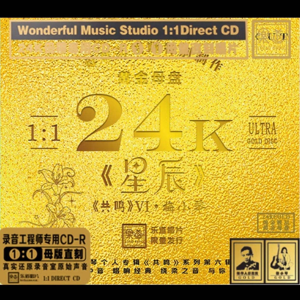 梅小琴共鸣6·星辰黄金母盘1：1直刻 2026 低速原抓WAV+CUE