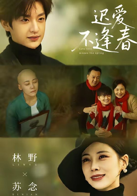 迟爱不逢春（62集）魏澊＆钟小淇|短剧
