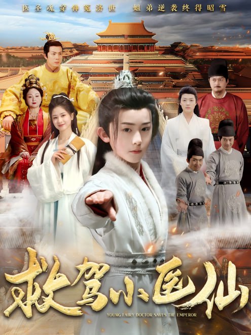 救驾小医仙(65集)
