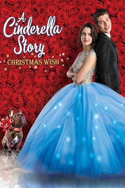 灰姑娘的故事：圣诞愿望 A Cinderella Story: Christmas Wish (2019) 1080p 原盘Remux 中文字幕 已刮削