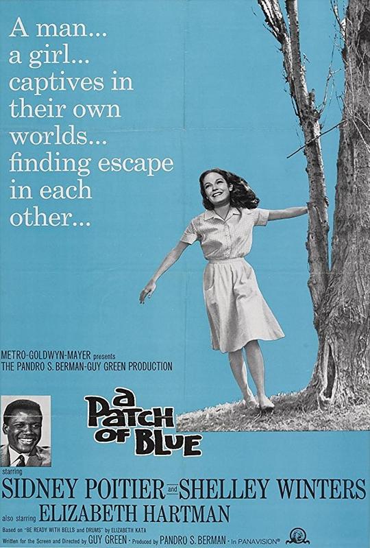 再生缘 A Patch of Blue (1965) 1080p 原盘Remux 中文字幕 已刮削