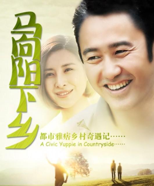 马向阳下乡记 全40集 国语中字 2014 4K