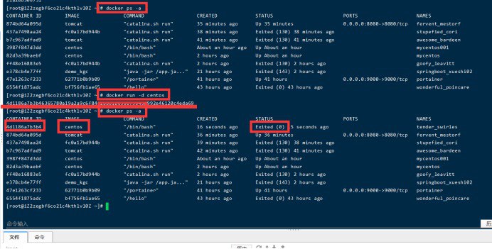 Docker（K8S）容器架构师-中级+高级