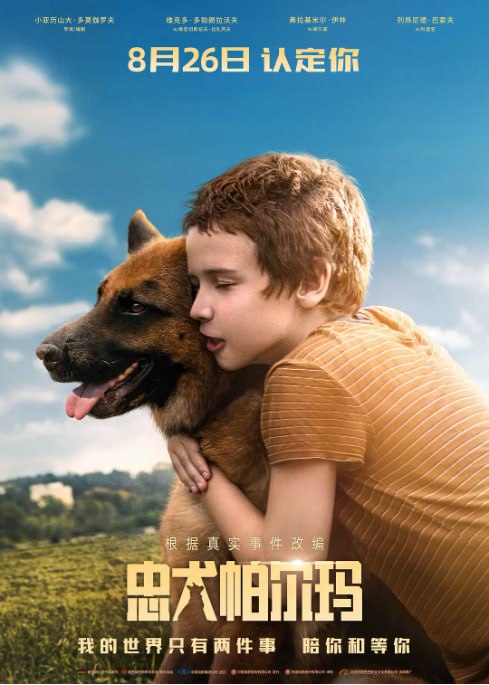 [忠犬帕尔玛][2021][俄语中字][4K-2160P][11G]