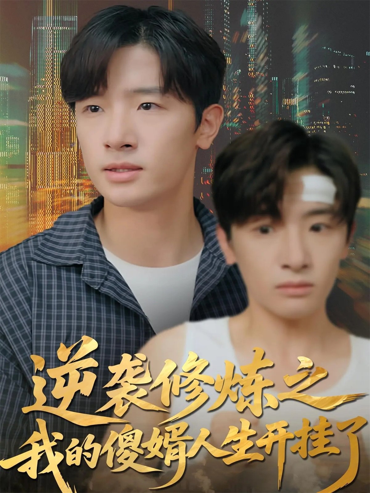 逆袭修炼之我的傻婿人生开挂了 (65集) 陈梓龙&刘梦杰 | 短剧