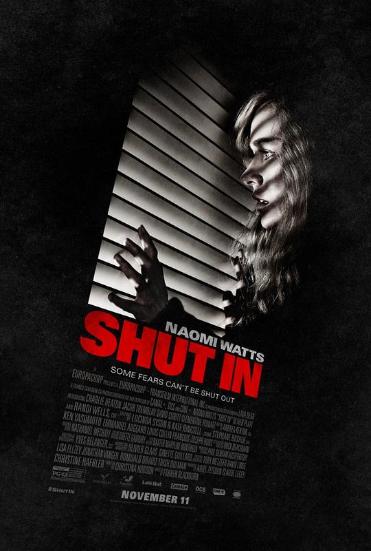 禁闭 Shut In (2016) 1080p 原盘Remux 中文字幕 已刮削