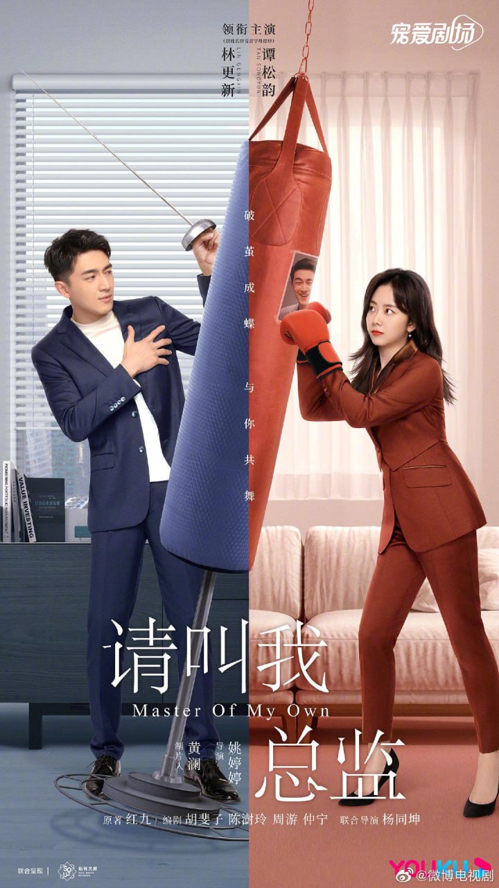 请叫我总监 全32集 国语中字 2022 1080P