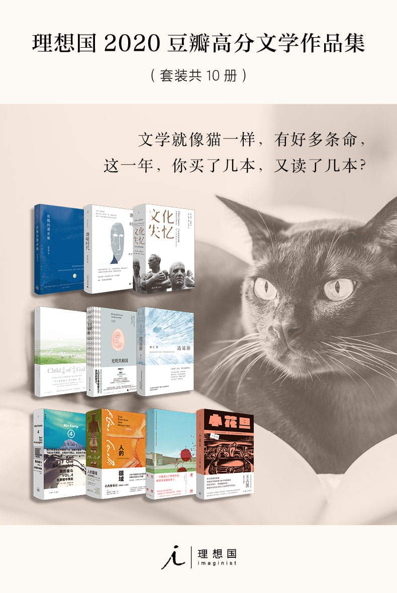 理想国2020年豆瓣高分文学作品集