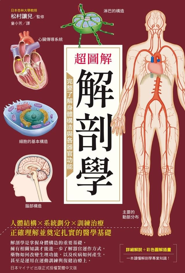 人体各个器官及功能医学解说合集
