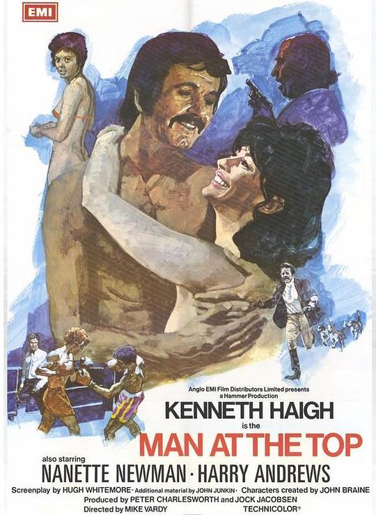 大人物 Man at the Top (1973) 1080p 原盘 Remux 已刮削
