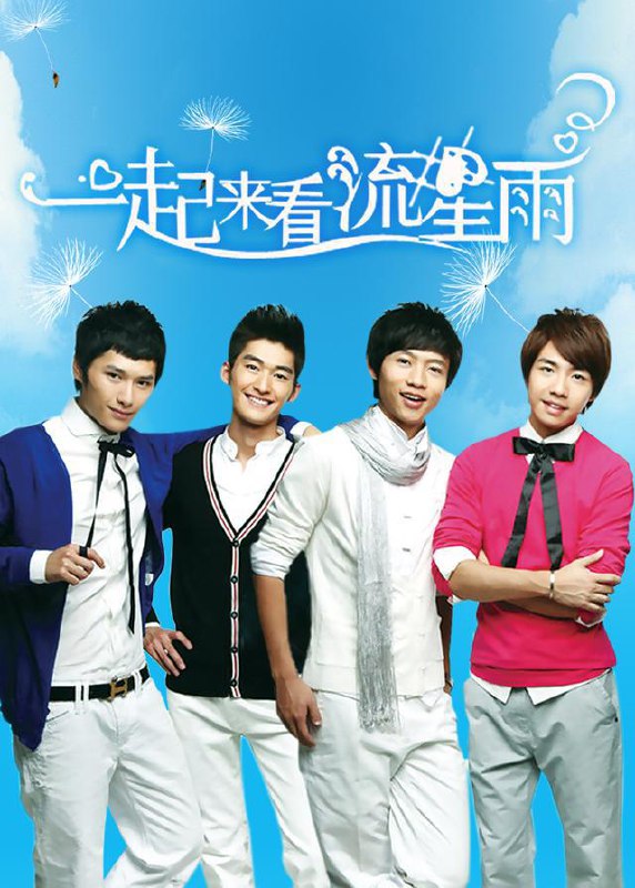 一起来看流星雨 全36集 国语中字 2009 1080P