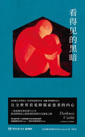 看得见的黑暗 [﻿小说文学] [pdf+全格式]