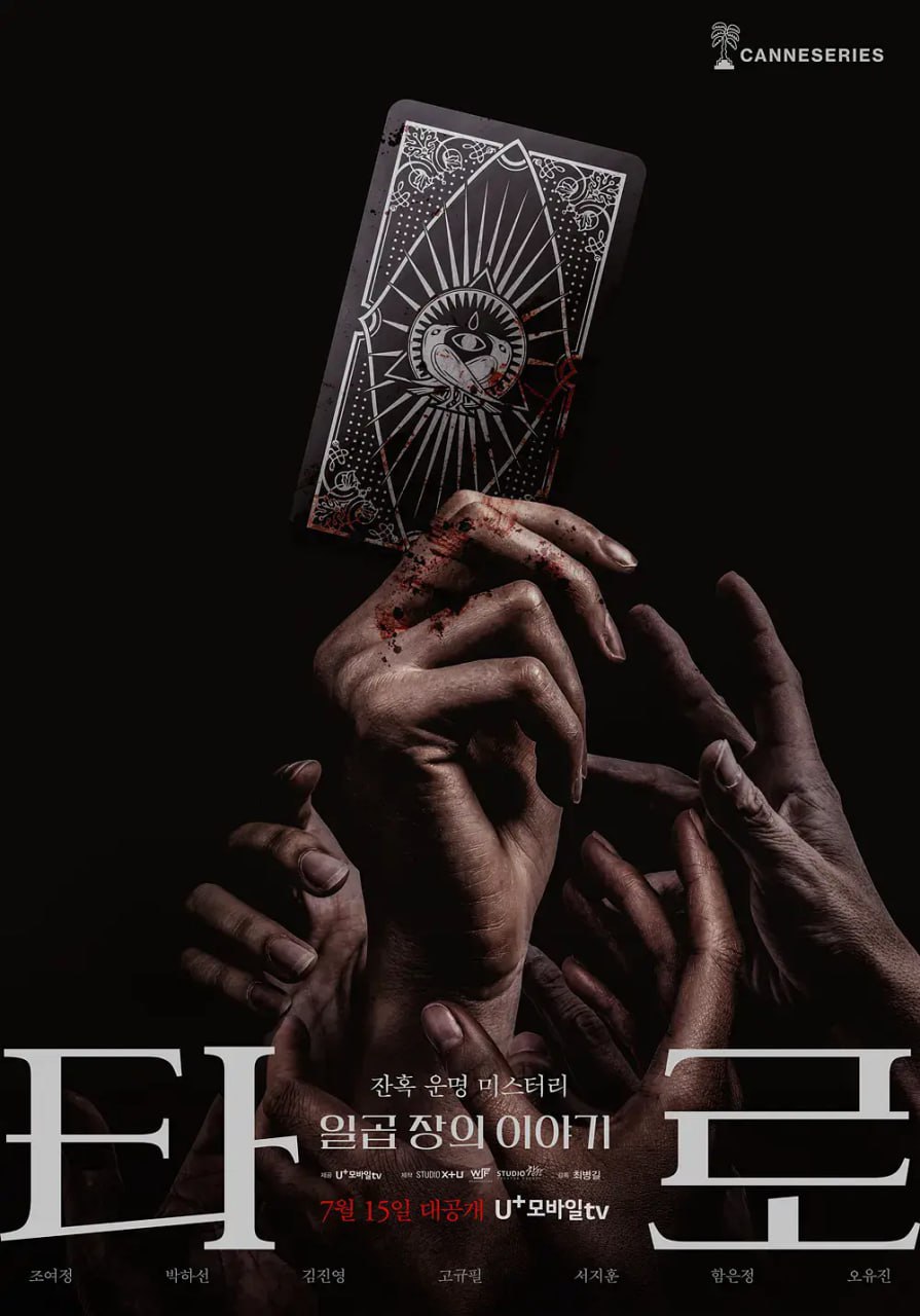 塔罗牌 타로 (2024)