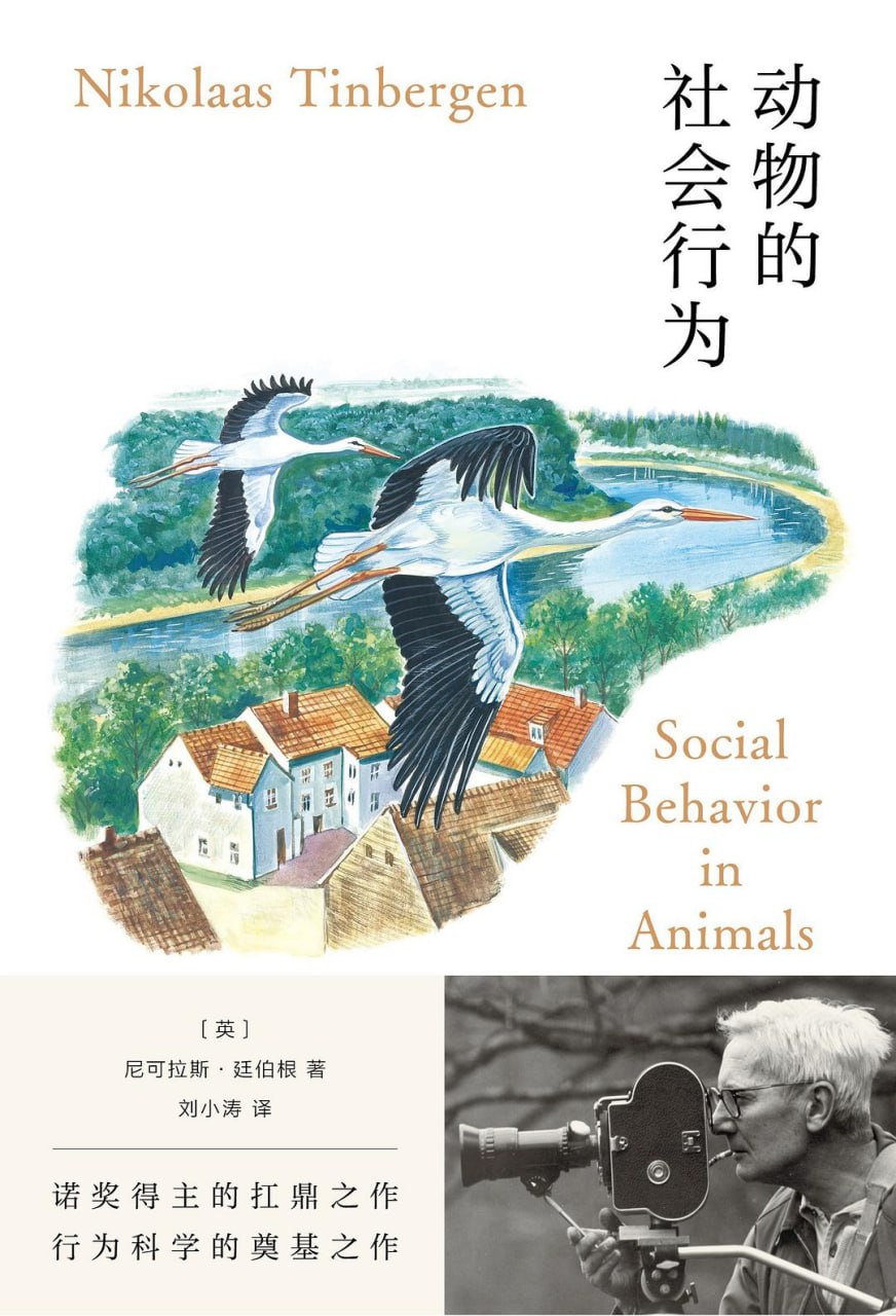 动物的社会行为 [﻿人文社科] [pdf+全格式]