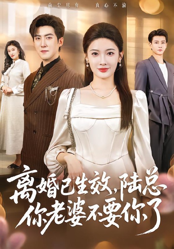 离婚已生效，陆总你老婆不要你了（61集）赵阿东&沈玥妡