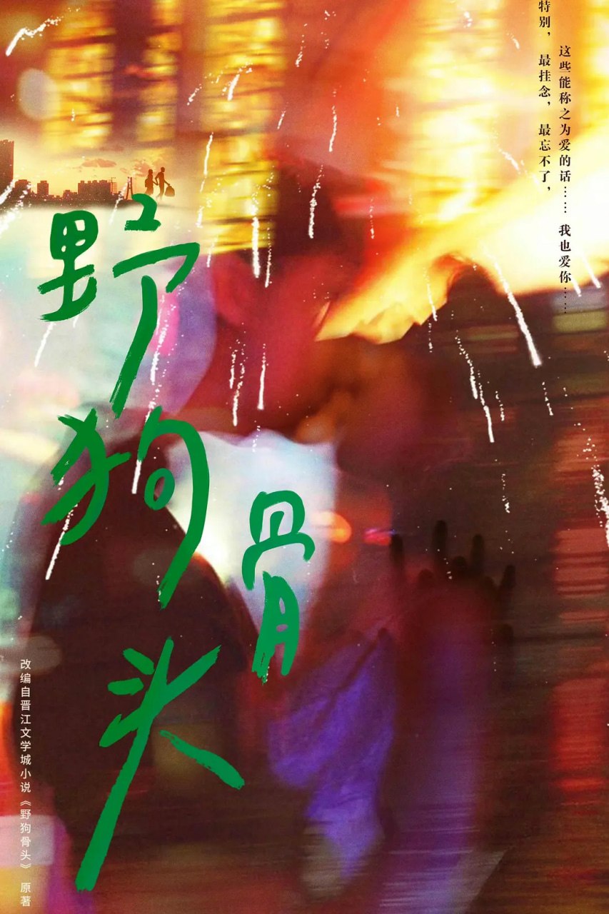 野狗骨头 (2026)剧情 爱情 张婧仪 4K 更新06集