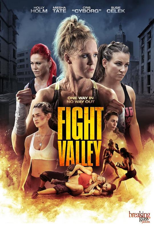 搏击谷 Fight Valley (2016) 1080p 原盘Remux 已刮削