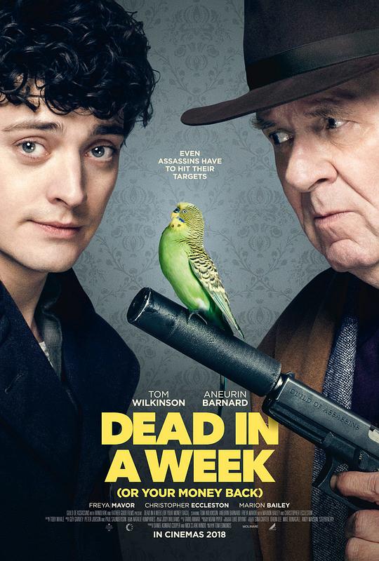 一周不死，全额退款 Dead in a Week: Or Your Money Back (2018) 1080p 原盘Remux 中文字幕 已刮削